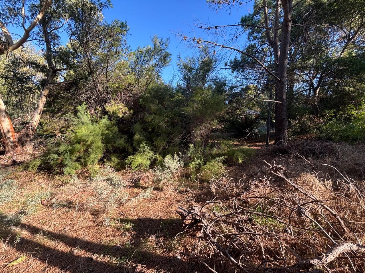 Terreno en Venta en Edurado Plache Y Miramar, El Sauce, Monte Hermoso - Bahía Blanca Propiedades | SITIO OFICIAL l