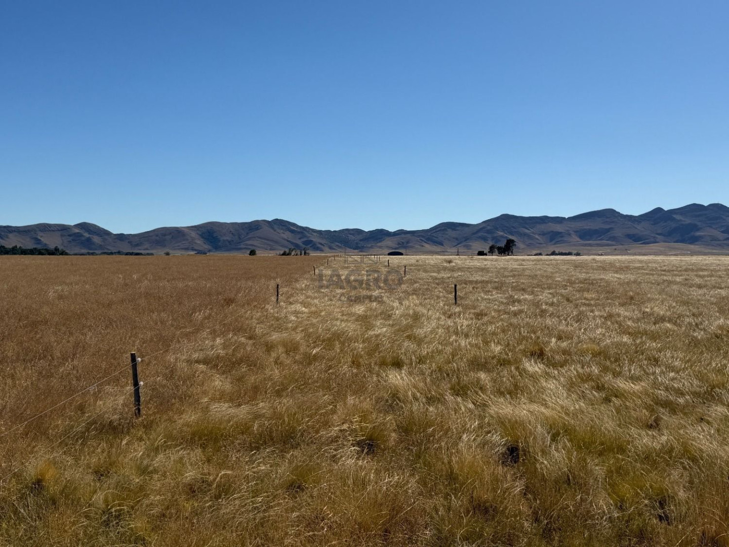 Campo  en Venta en Partido De Saavedra,  Saavedra - Bahía Blanca Propiedades | SITIO OFICIAL l
