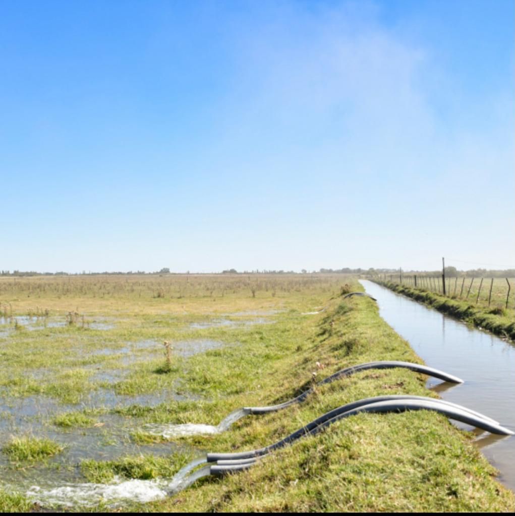 Campo  en Venta   Pedro Luro - Bahía Blanca Propiedades | SITIO OFICIAL l