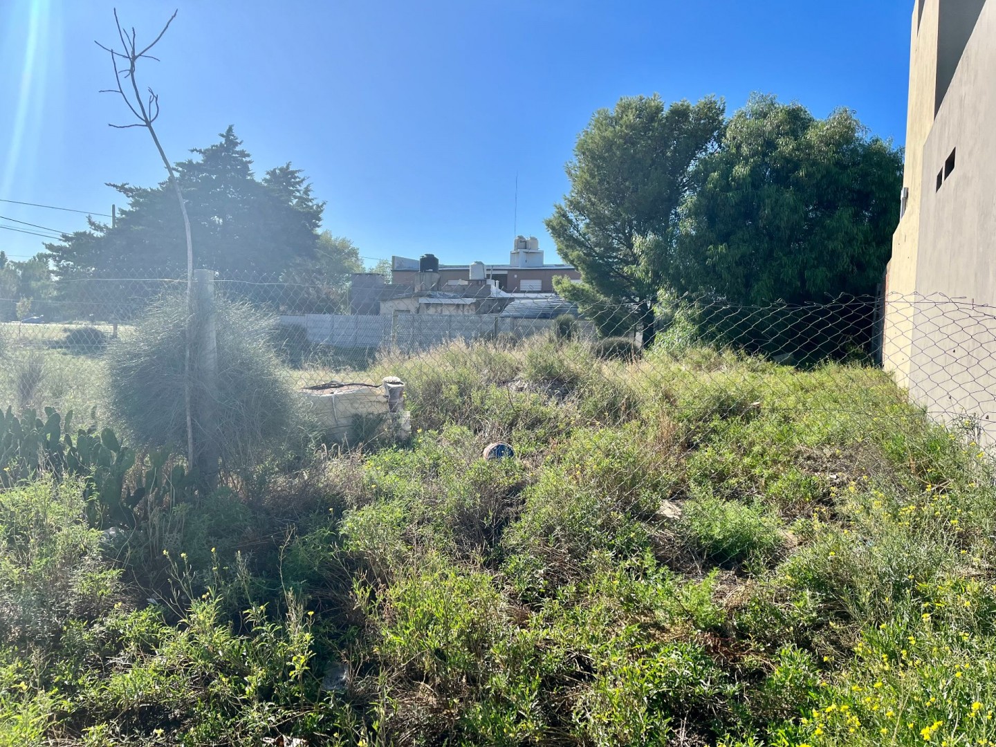 Terreno en Venta en Felipe Varela 1.181 , Los Olivos, Bahía Blanca - Bahía Blanca Propiedades | SITIO OFICIAL l