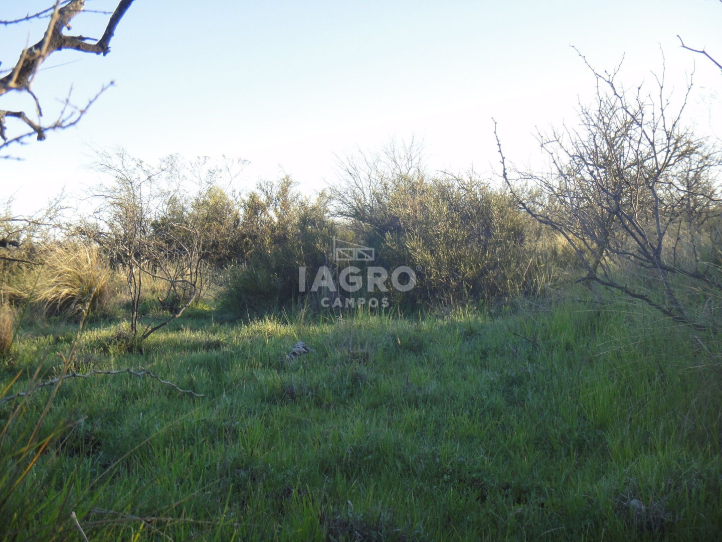Campo  en Venta en Caleu Caleu,  Caleu Caleu - Bahía Blanca Propiedades | SITIO OFICIAL l