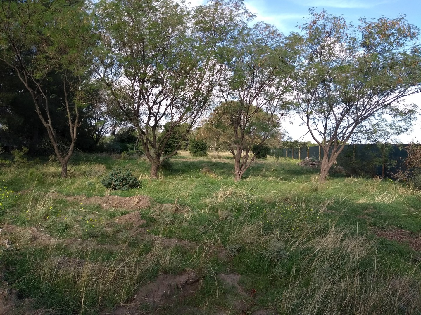 Terreno en Venta   Bahía Blanca - Bahía Blanca Propiedades | SITIO OFICIAL l