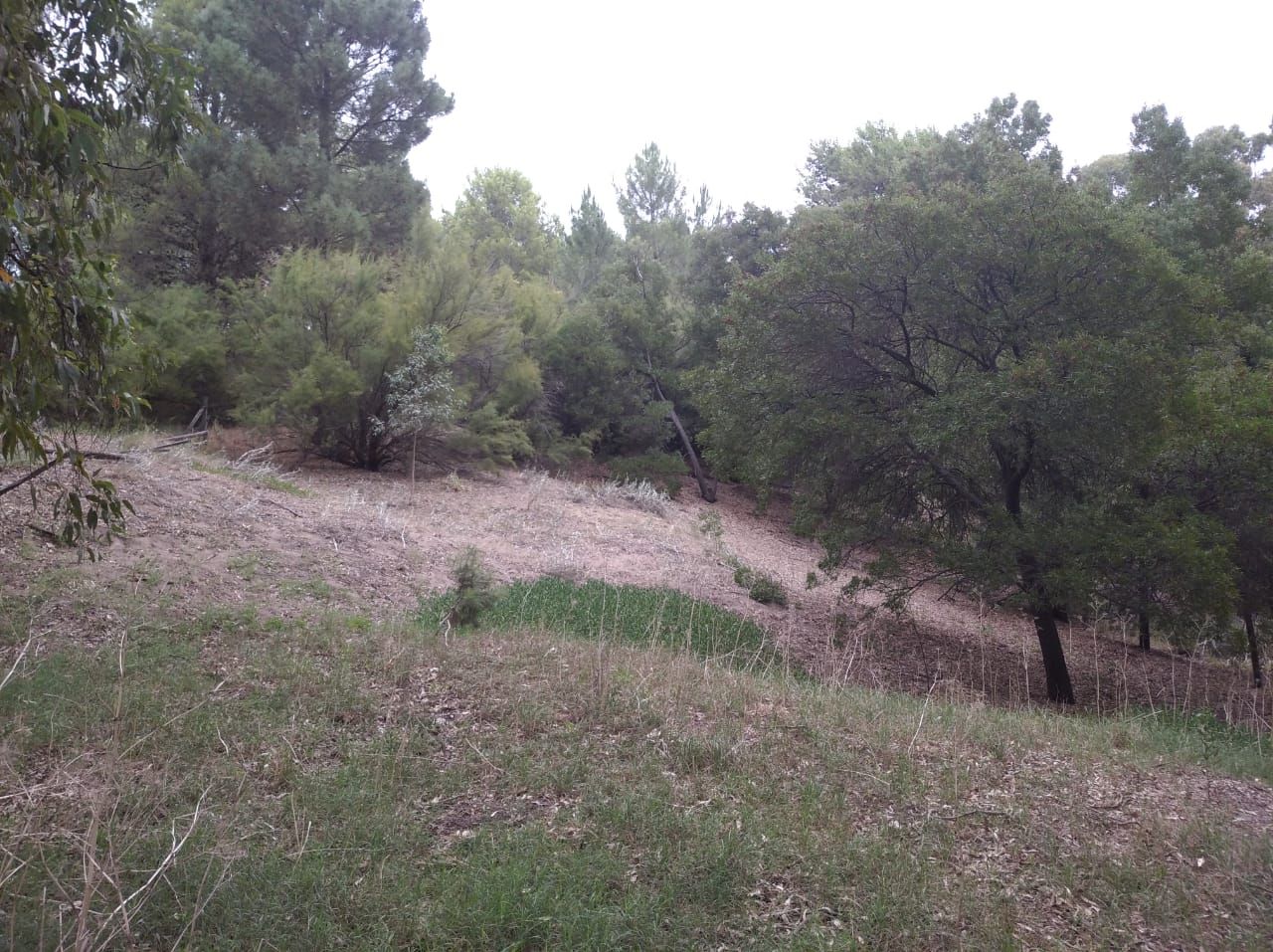 Terreno en Venta en Quintana 500, El Sauce, Monte Hermoso - Bahía Blanca Propiedades | SITIO OFICIAL l