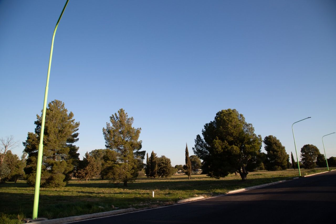 Terreno en Venta en Ruta 33 Km7.5,  Bahía Blanca - Bahía Blanca Propiedades | SITIO OFICIAL l