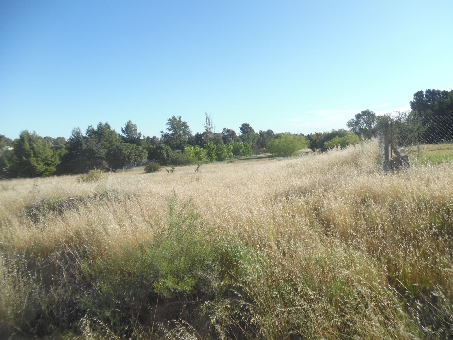 Terreno en Venta en Crespi Valls 3700, Villa Belgrano, Bahía Blanca - Bahía Blanca Propiedades | SITIO OFICIAL l