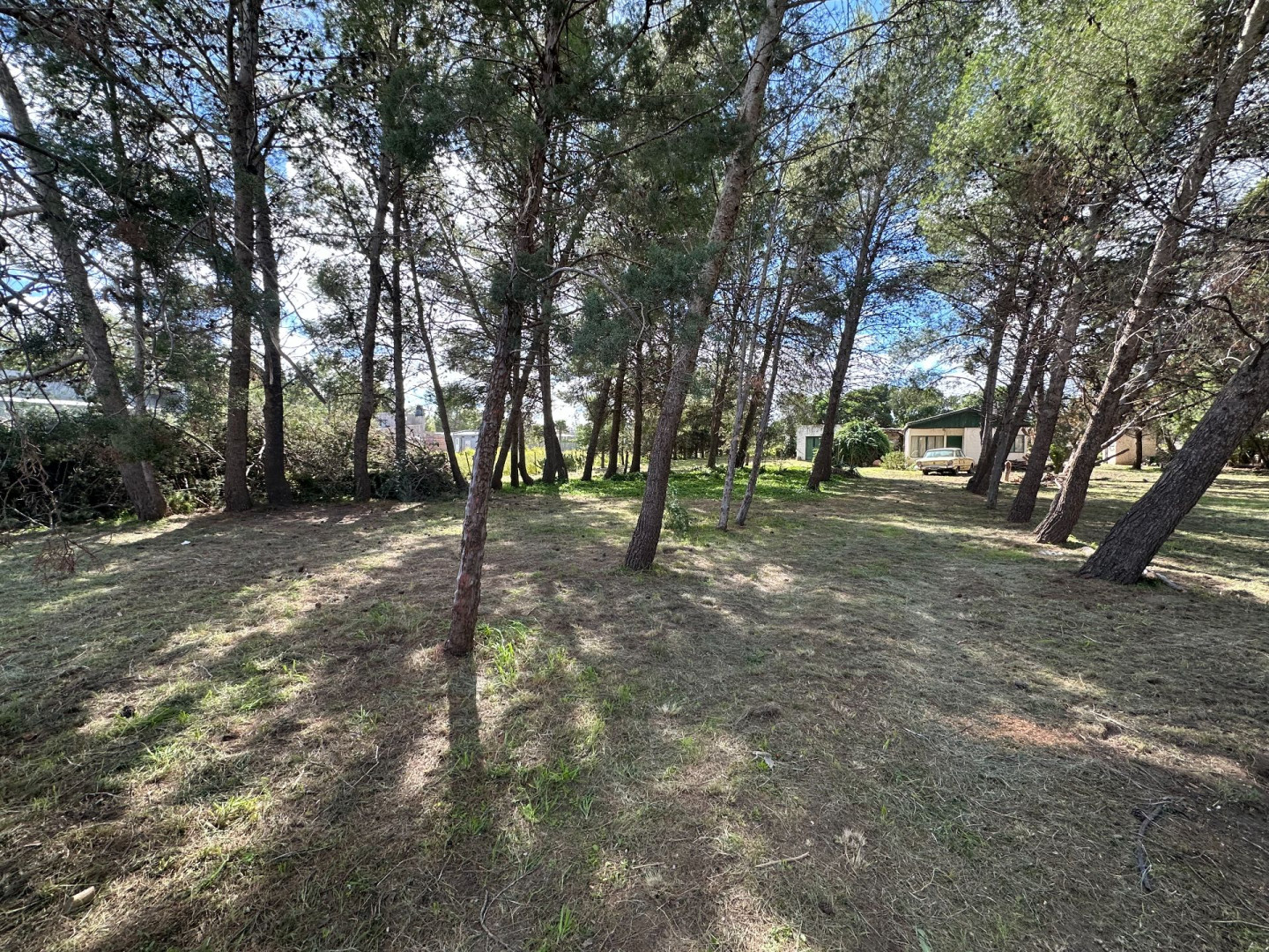 Casaquinta en Venta en Guido Spano 3941, Villa Belgrano, Bahía Blanca - Bahía Blanca Propiedades | SITIO OFICIAL l