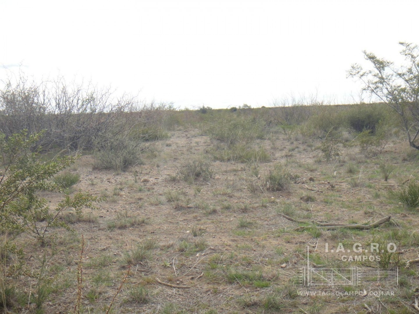Campo  en Venta en Curaco,  Curaco - La Pampa - Bahía Blanca Propiedades | SITIO OFICIAL l