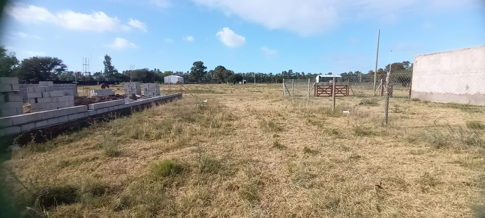 Terreno en Venta en PAULA ALBARRACIN Y LIBANO, Villa Bordeu, Bahía Blanca - Bahía Blanca Propiedades | SITIO OFICIAL l