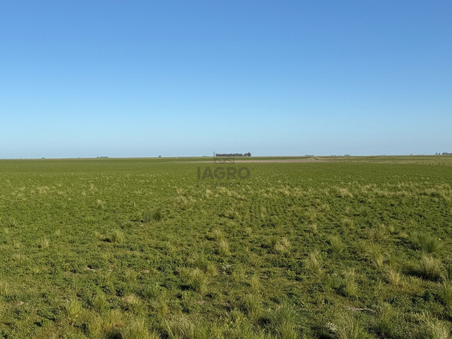 Campo  en Venta en Coronel Dorrego,  Coronel Dorrego - Bahía Blanca Propiedades | SITIO OFICIAL l