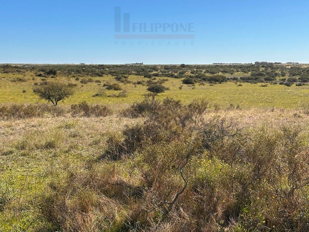 Campo  en Venta en Ruta 35 - Bahía Blanca Propiedades | SITIO OFICIAL l