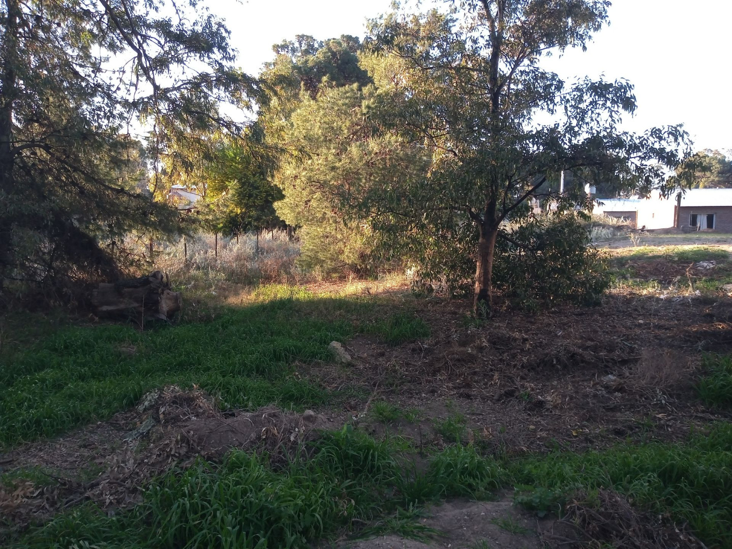 Terreno en Venta en Seclantas, El Sauce, Monte Hermoso - Bahía Blanca Propiedades | SITIO OFICIAL l