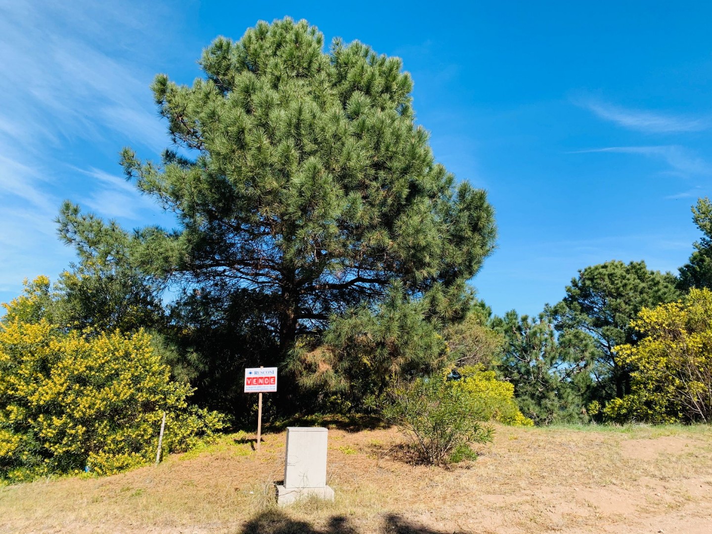 Terreno en Venta en Las Lechuzas Y Chimango, Pinar del Golf, Monte Hermoso - Bahía Blanca Propiedades | SITIO OFICIAL l