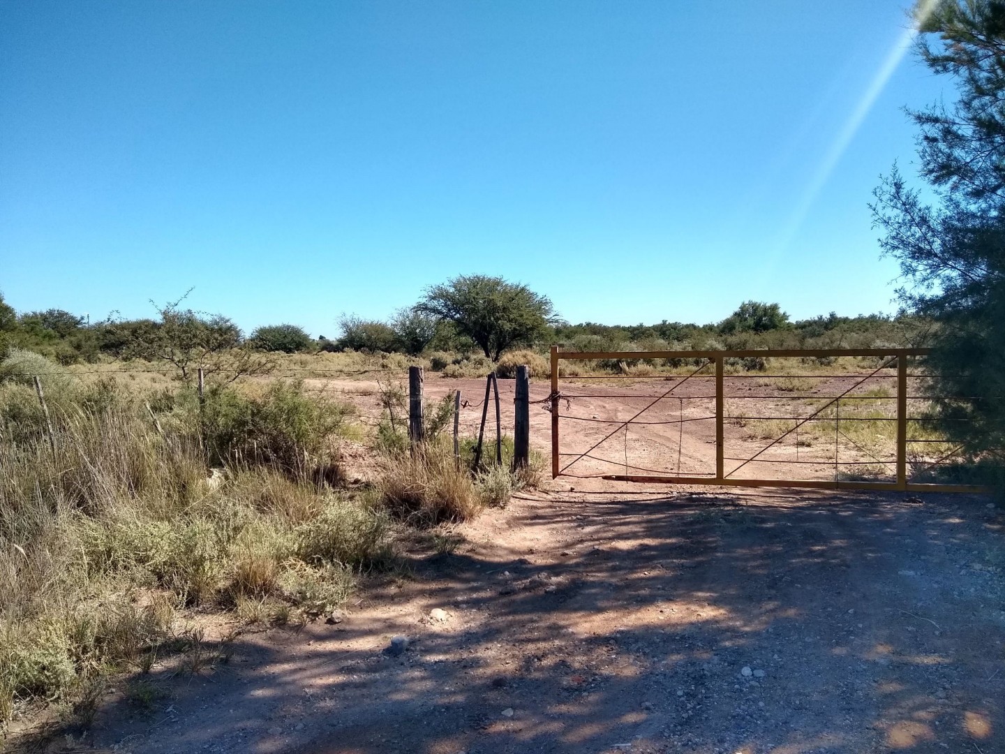Campo  en Venta en Ruta 3 Km 701,  Bahía Blanca - Bahía Blanca Propiedades | SITIO OFICIAL l