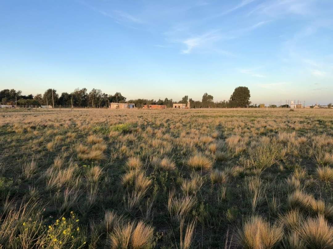 Terreno en Venta en Cambaceres 4060,  Bahía Blanca - Bahía Blanca Propiedades | SITIO OFICIAL l