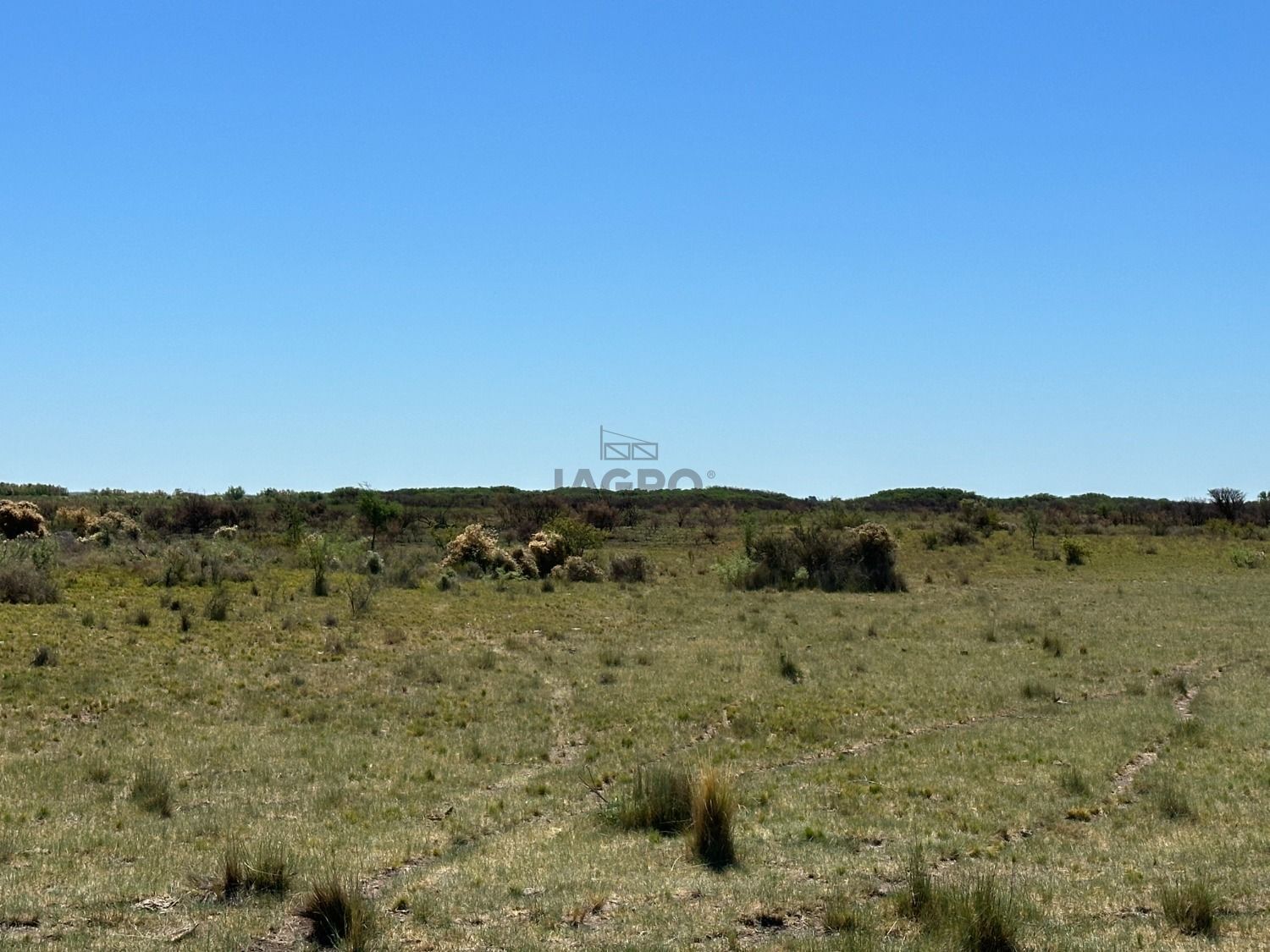 Campo  en Venta en Juan A. Pradere,  Carmen de Patagones - Bahía Blanca Propiedades | SITIO OFICIAL l