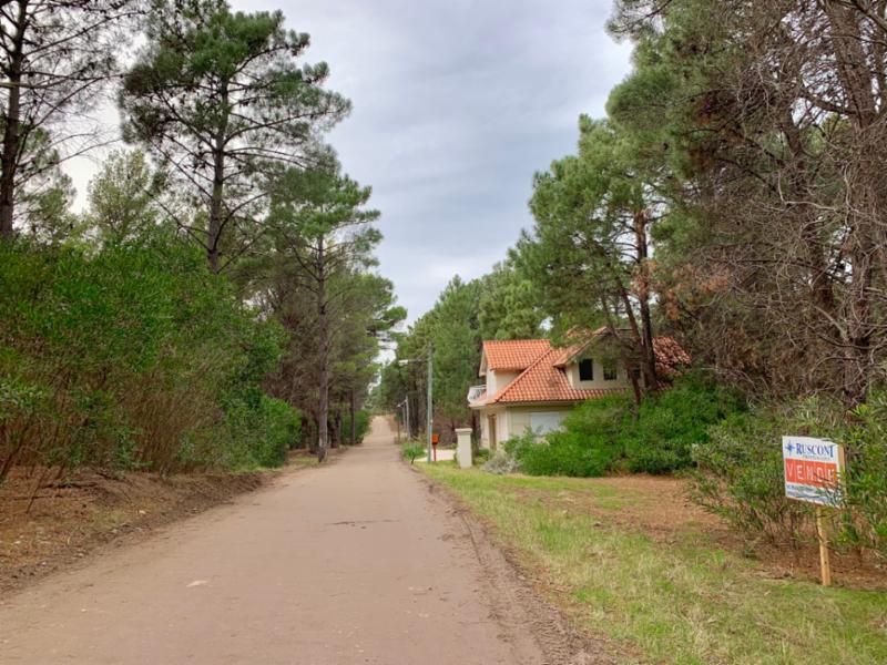 Terreno en Venta en Bosque Alegre Entre Los Zorzales Y El Gavilán, Pinar del Golf, Monte Hermoso - Bahía Blanca Propiedades | SITIO OFICIAL l
