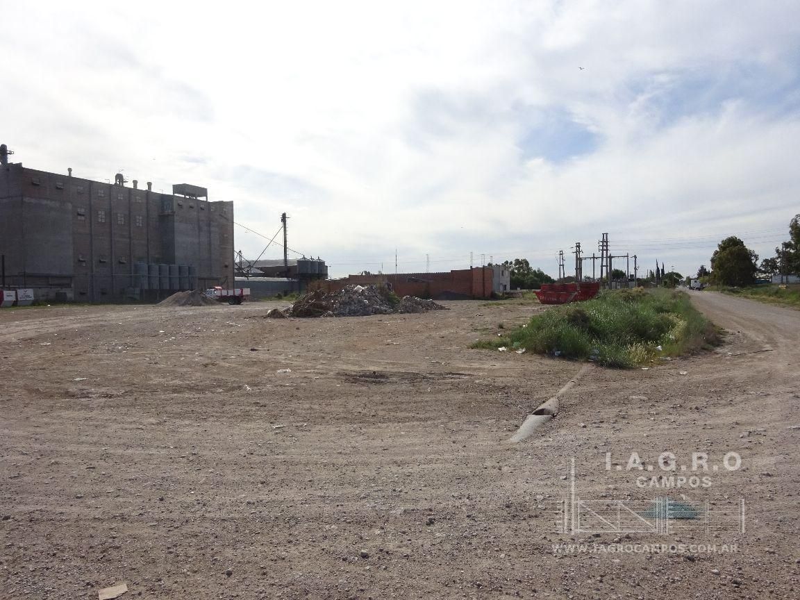 Galpón en Venta en Sussini Y Lugones,  General Cerri - Bahía Blanca Propiedades | SITIO OFICIAL l