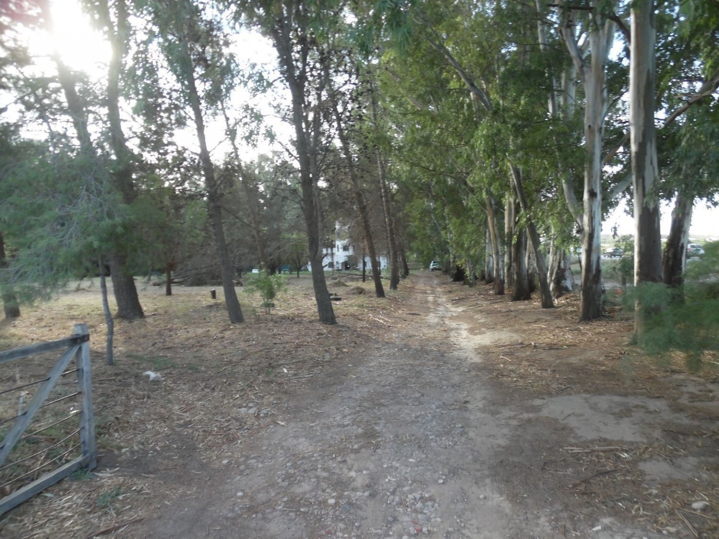 Terreno en Venta en Sesquicentenario Y Cabrera, Sesquicentenario, Bahía Blanca - Bahía Blanca Propiedades | SITIO OFICIAL l