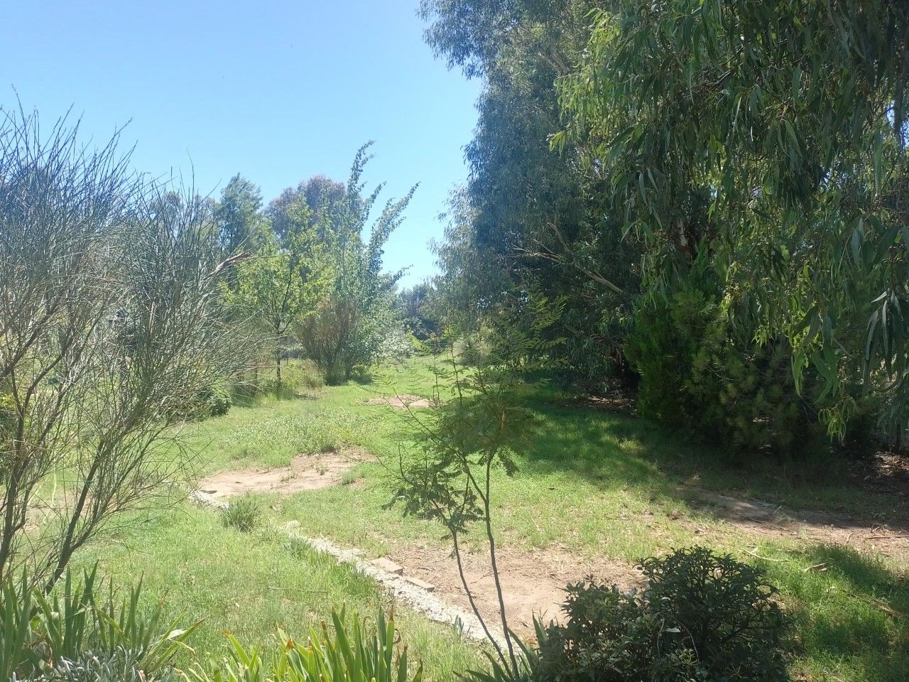 Casa en Venta en Casilda Igarzabal 500, Los Chañares, Bahía Blanca - Bahía Blanca Propiedades | SITIO OFICIAL l