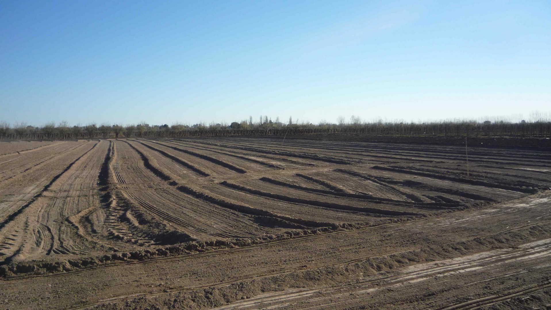 Campo  en Venta en Calle Leiva S/n, Las Catitas, Mendoza - Bahía Blanca Propiedades | SITIO OFICIAL l