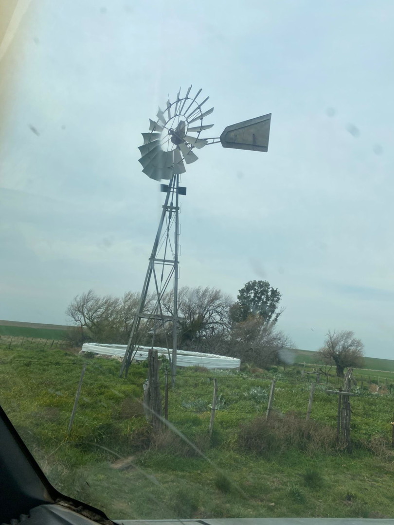 Campo  en Venta   Villarino - Bahía Blanca Propiedades | SITIO OFICIAL l