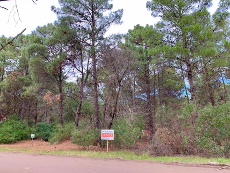 Terreno en Venta en Bosque Alegre Entre Los Zorzales Y El Gavilán, Pinar del Golf, Monte Hermoso - Bahía Blanca Propiedades | SITIO OFICIAL l