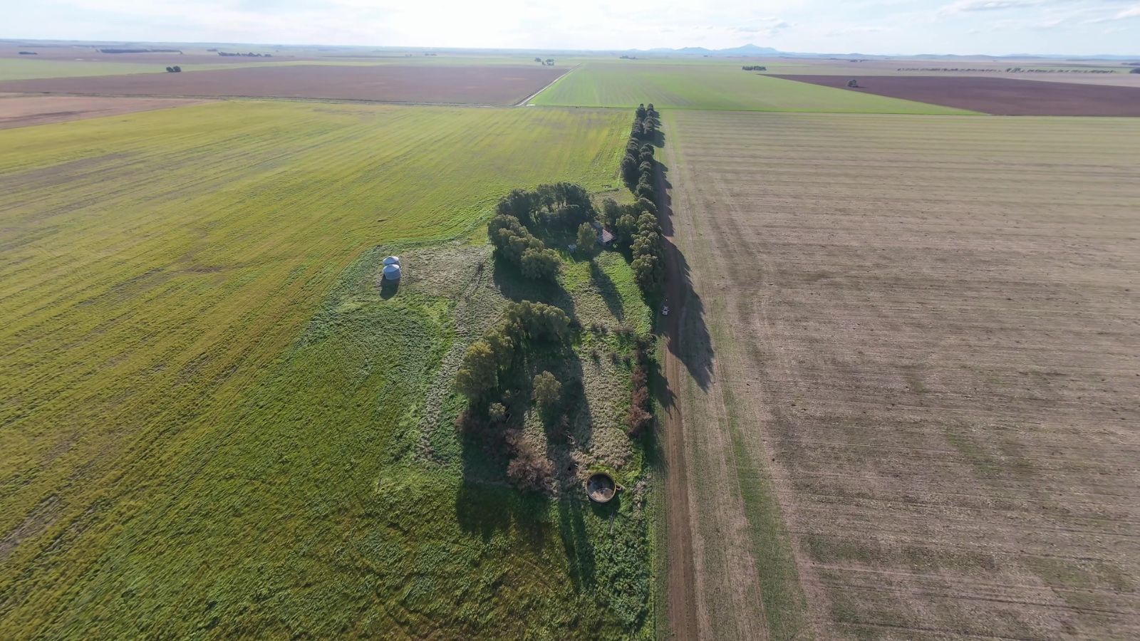 Campo  en Venta   San Romàn - Bahía Blanca Propiedades | SITIO OFICIAL l