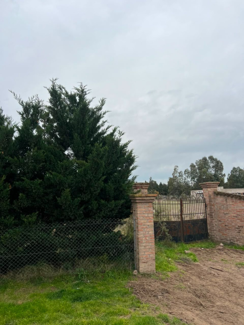 Terreno en Venta en Teresa Asencio 500, Los Chañares, Bahía Blanca - Bahía Blanca Propiedades | SITIO OFICIAL l