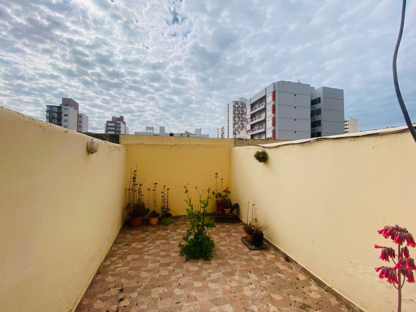 Departamento en Alquiler en Zelarrayan 317, Centro, Bahía Blanca - Bahía Blanca Propiedades | SITIO OFICIAL l