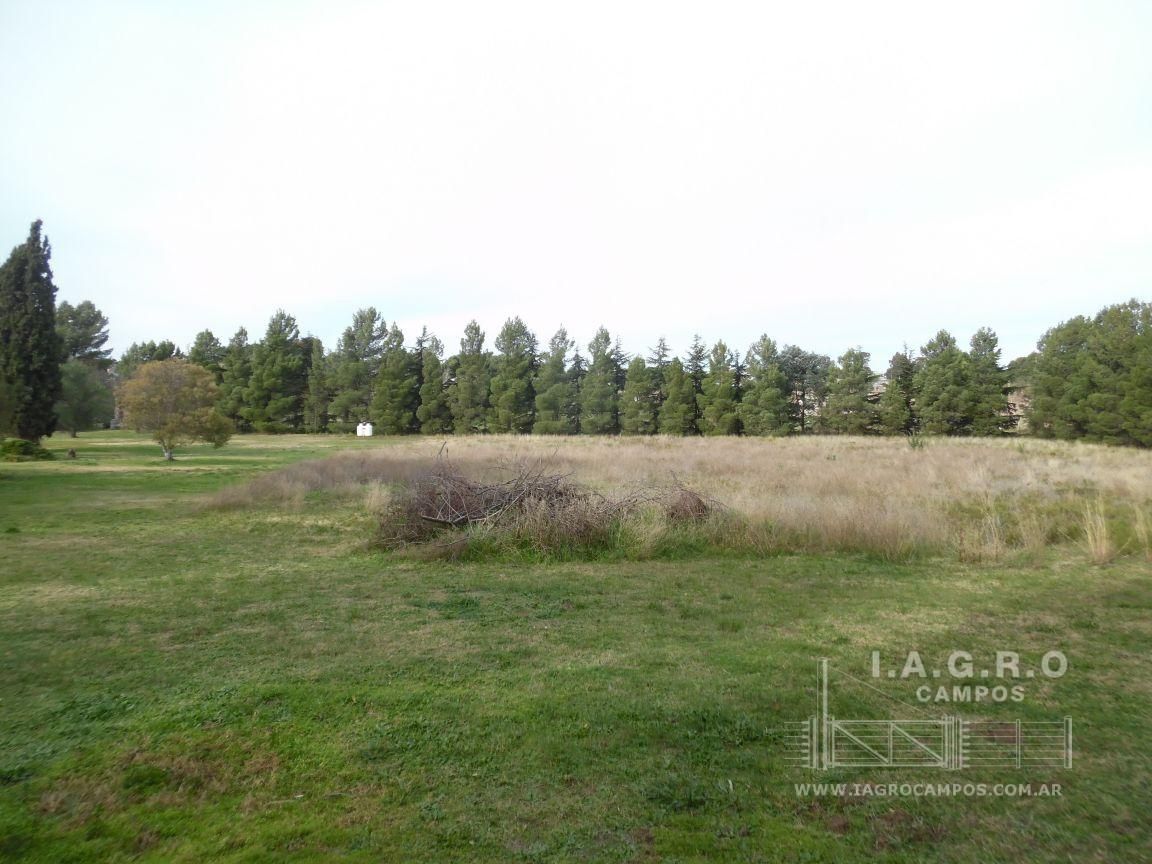 Terreno en Venta en Latanzio 2100,  Bahía Blanca - Bahía Blanca Propiedades | SITIO OFICIAL l