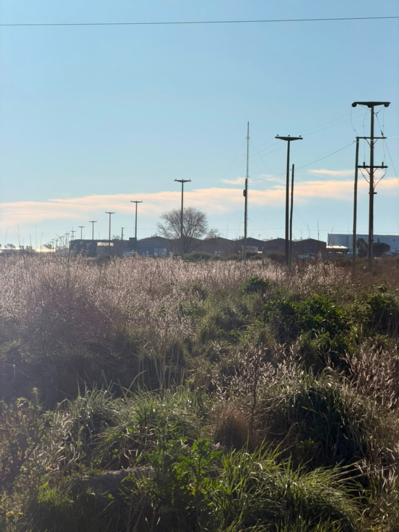 Terreno en Venta en Av Dasso Ruta 3, Ingeniero White, Bahía Blanca - Bahía Blanca Propiedades | SITIO OFICIAL l