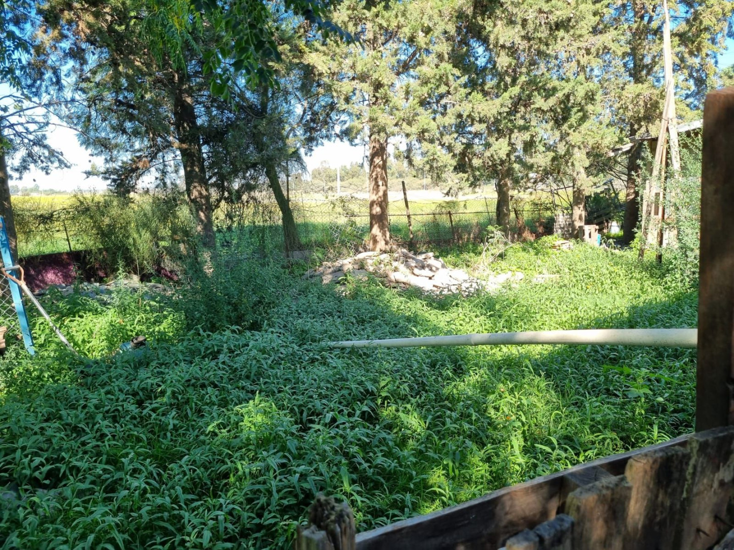 Casa en Venta en Paula Albarracín 850, Los Chañares, Bahía Blanca - Bahía Blanca Propiedades | SITIO OFICIAL l