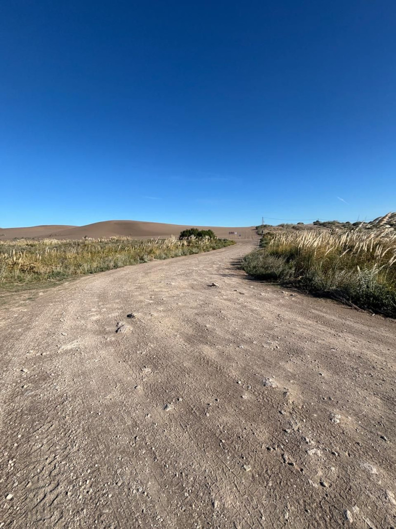 Terreno en Venta  El Sauce, Monte Hermoso - Bahía Blanca Propiedades | SITIO OFICIAL l
