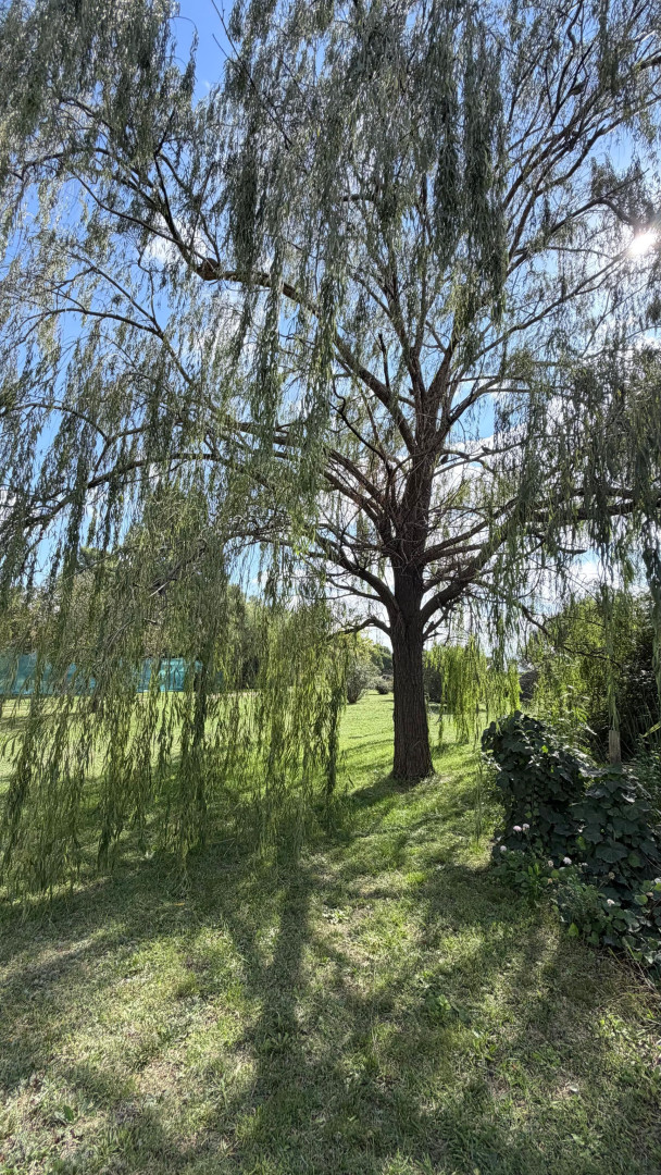 Casa en Venta en RAMON Y CAJAL 5147, Aldea Romana, Bahía Blanca - Bahía Blanca Propiedades | SITIO OFICIAL l