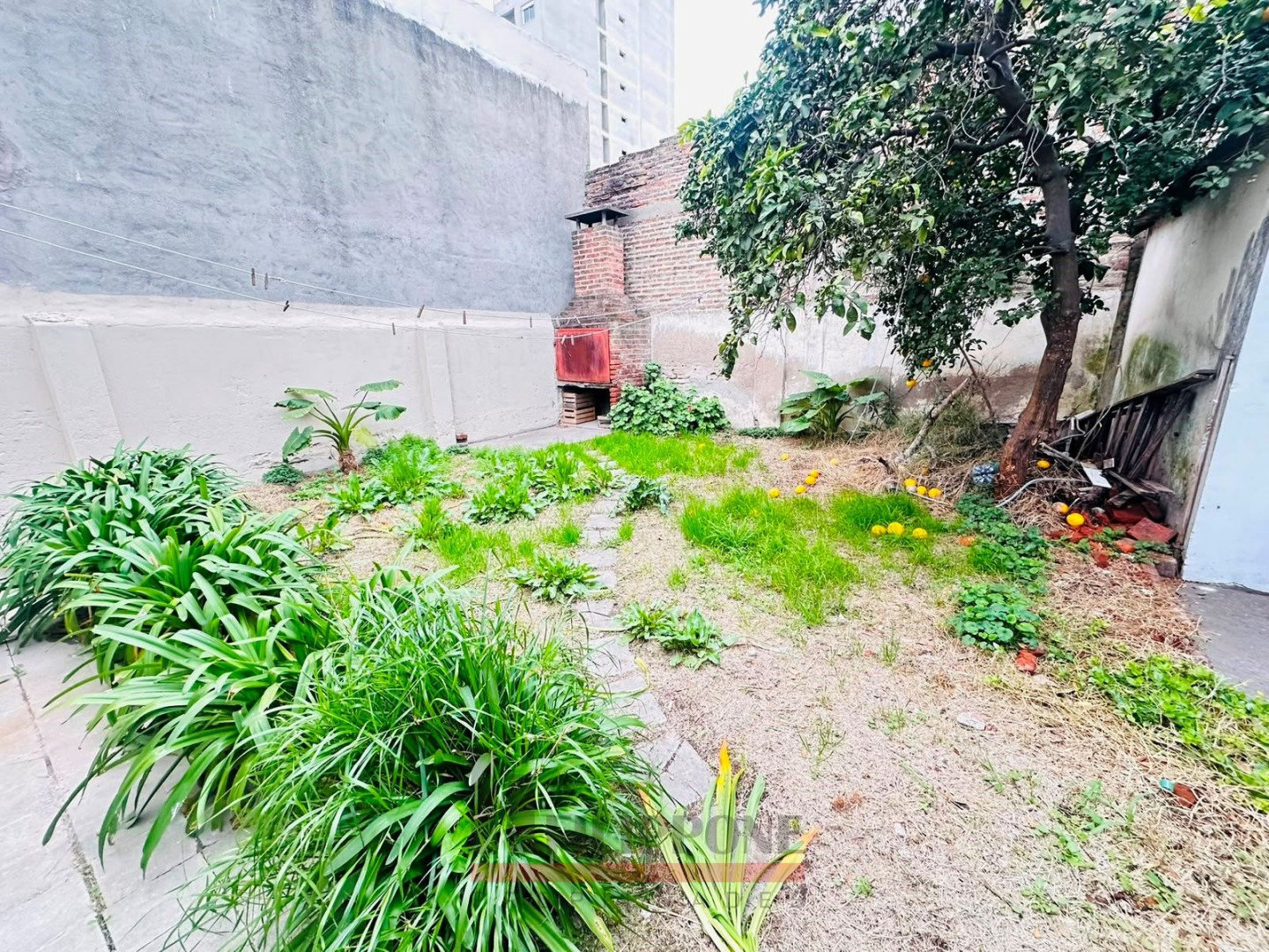 Casa en Venta en Ayacucho 733, Universitario, Bahía Blanca - Bahía Blanca Propiedades | SITIO OFICIAL l