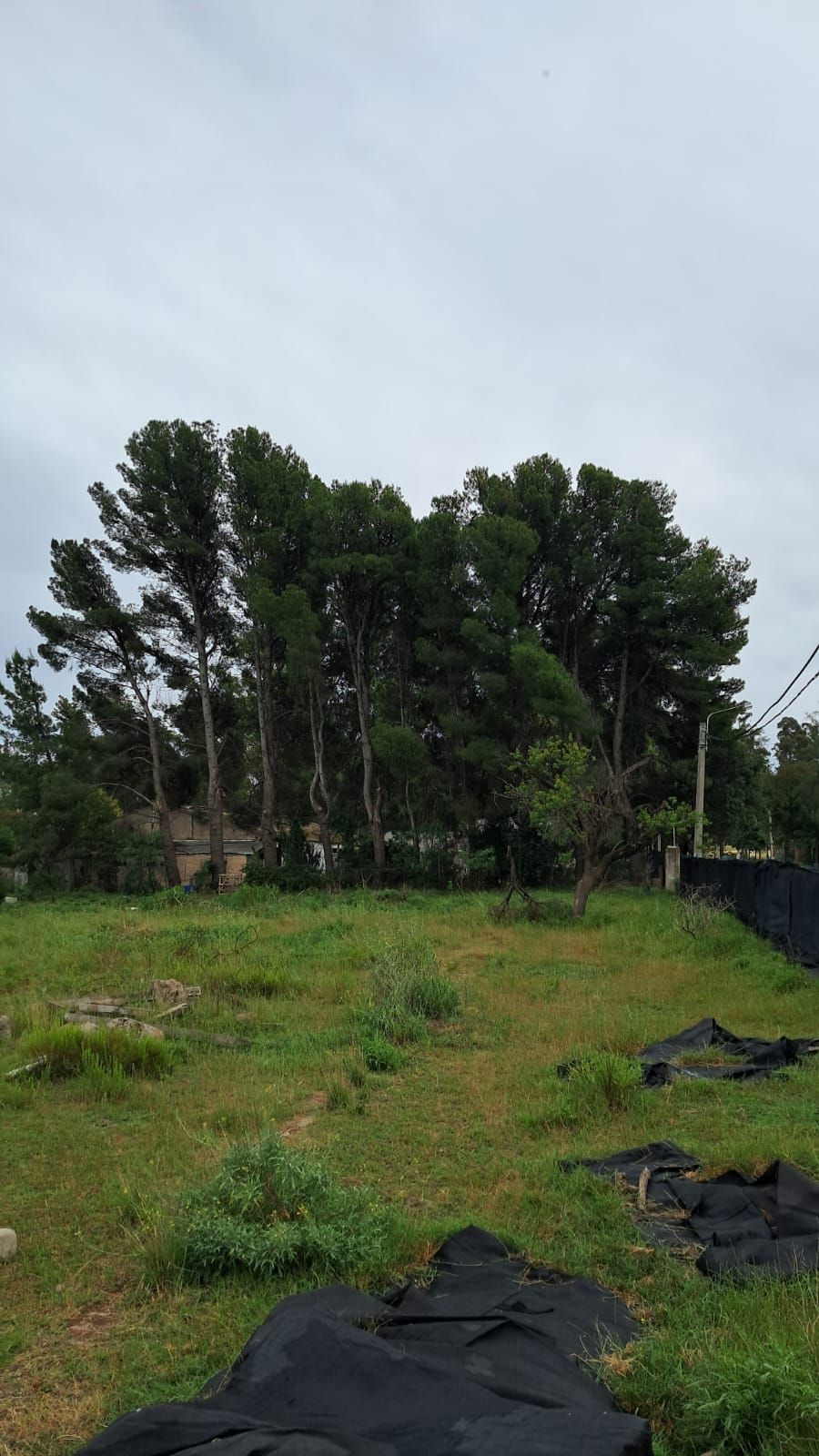Terreno en Venta en Baigorria , San Miguel, Bahía Blanca - Bahía Blanca Propiedades | SITIO OFICIAL l