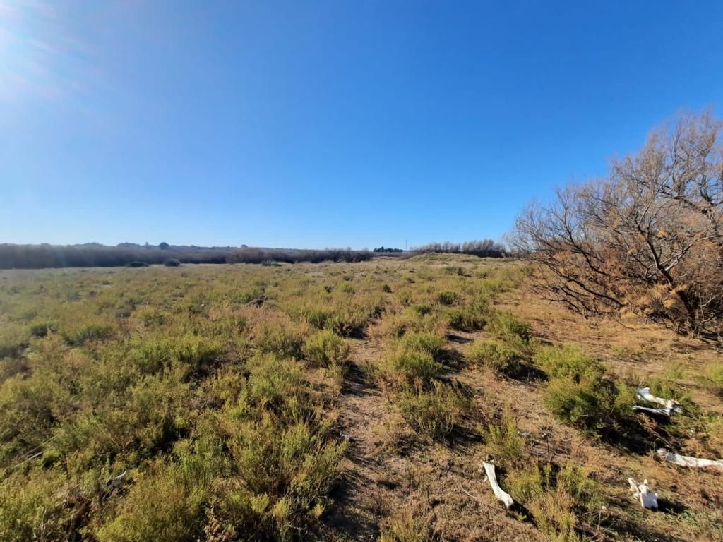 Terreno en Venta en Cabrera 3200,  Bahía Blanca - Bahía Blanca Propiedades | SITIO OFICIAL l