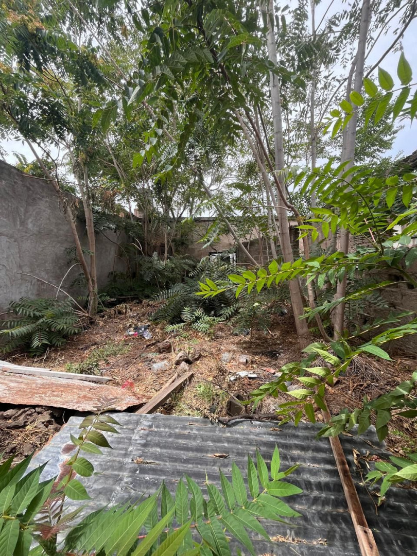 Terreno en Venta en Avenida La Plata 480, Pacifico, Bahía Blanca - Bahía Blanca Propiedades | SITIO OFICIAL l
