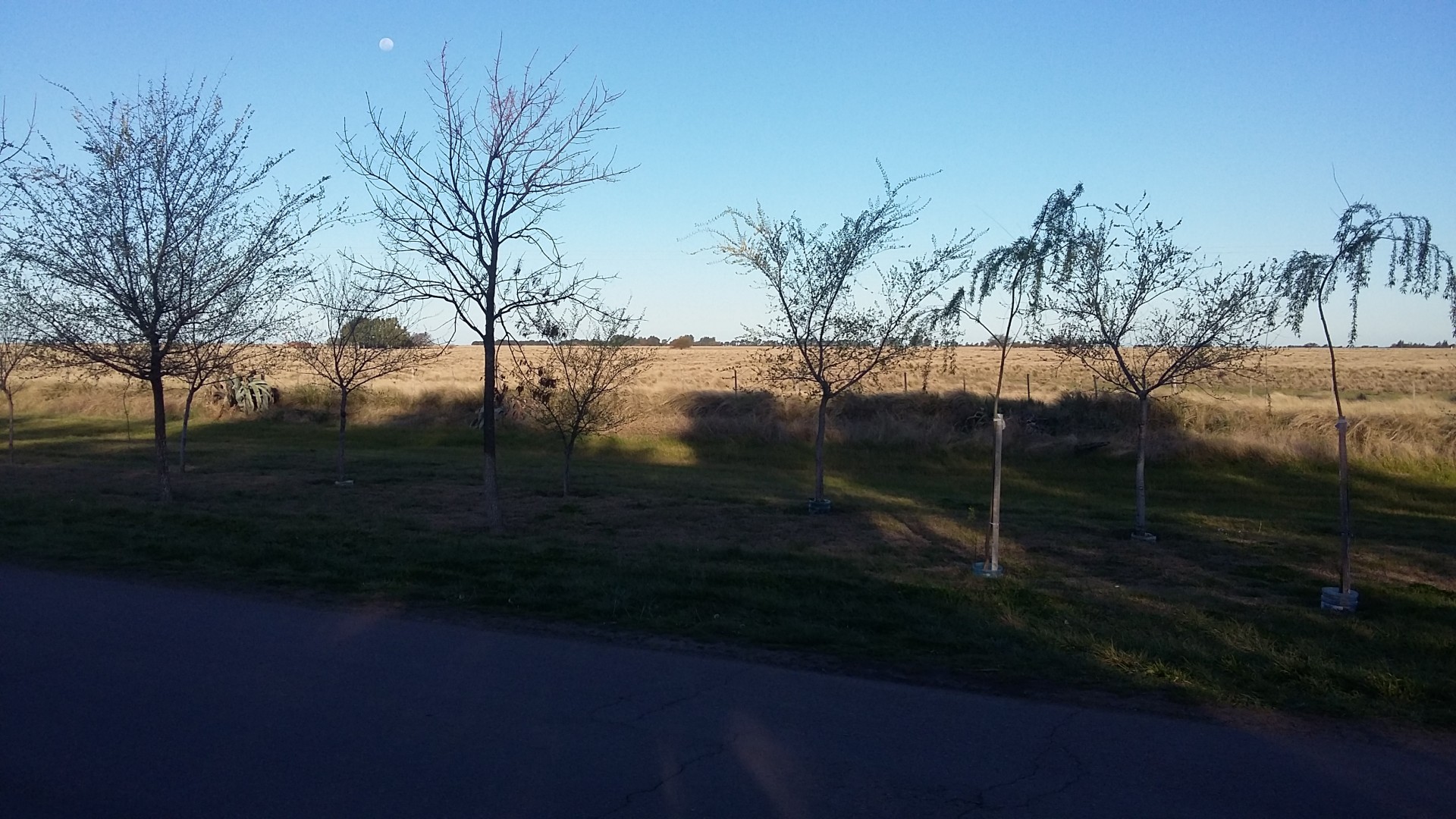 Campo  en Venta en Villa Iris - Pcia. Bs. Aires,  Villa Iris - Bahía Blanca Propiedades | SITIO OFICIAL l