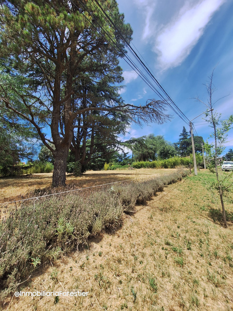 Terreno en Venta en LAS CALANDRIAS, Parque Golf, Sierra de  la Ventana - Bahía Blanca Propiedades | SITIO OFICIAL l