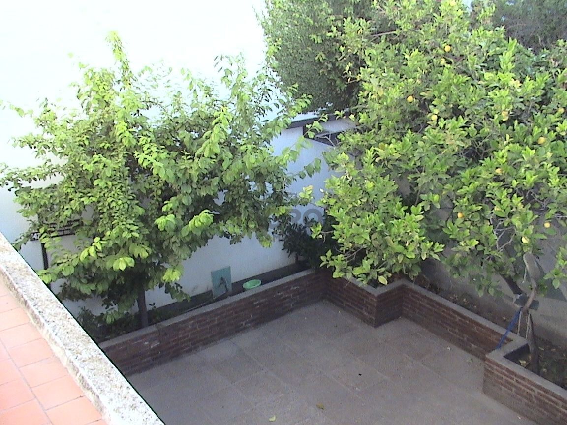 Terreno en Venta en Avenida Alem 656, Napostá, Bahía Blanca - Bahía Blanca Propiedades | SITIO OFICIAL l