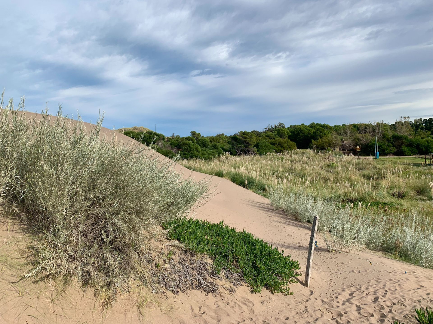 Terreno en Venta en San Bernardo Y Las Toninas, El Sauce, Monte Hermoso - Bahía Blanca Propiedades | SITIO OFICIAL l