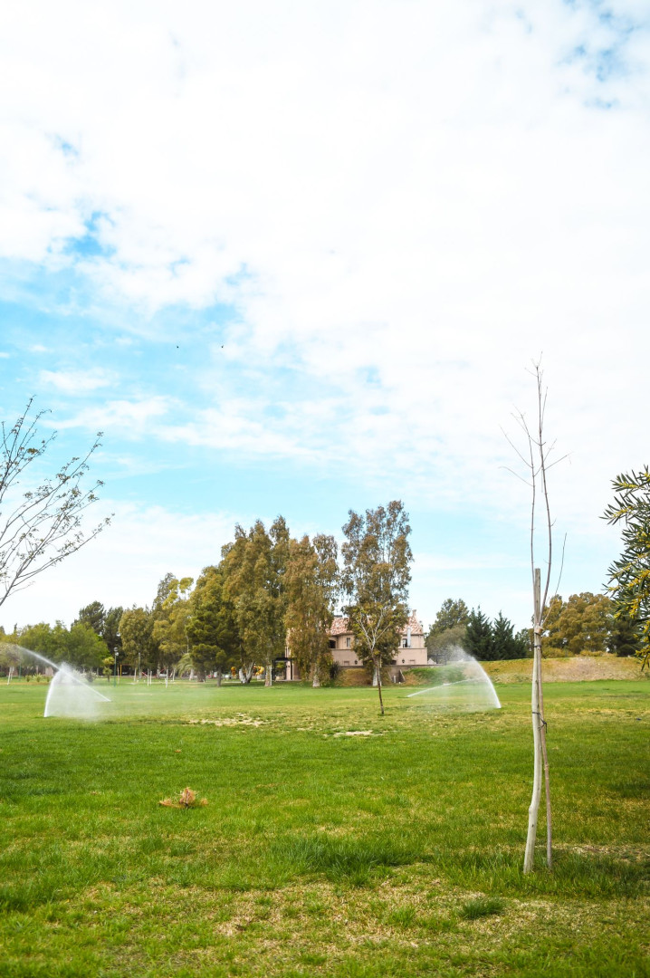 Terreno en Venta en Calle 6, Bosque Alto, Bahía Blanca - Bahía Blanca Propiedades | SITIO OFICIAL l