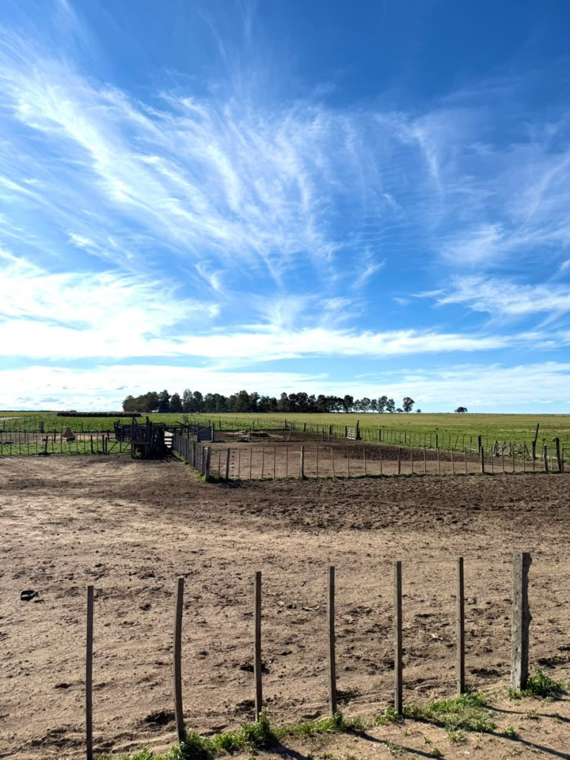 Campo  en Venta   Villalonga - Bahía Blanca Propiedades | SITIO OFICIAL l