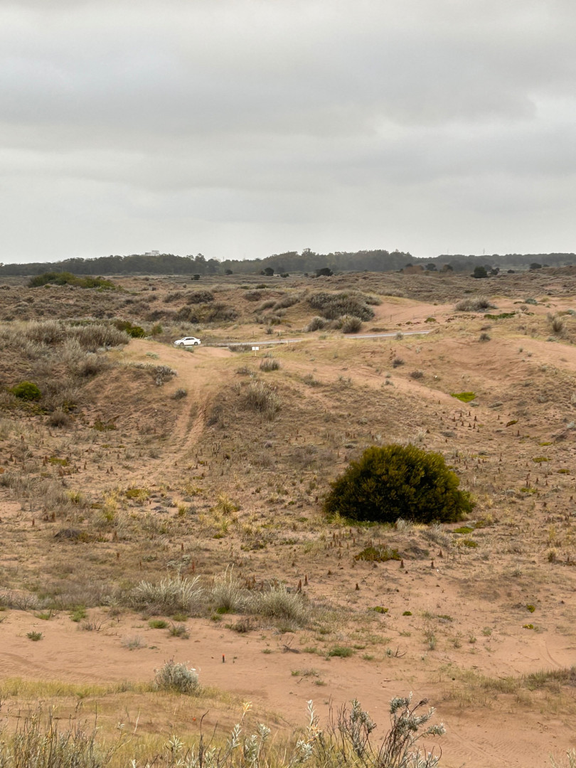 Terreno en Venta en Puleston Entre Magdalena Y San Boronbom, El Sauce, Monte Hermoso - Bahía Blanca Propiedades | SITIO OFICIAL l