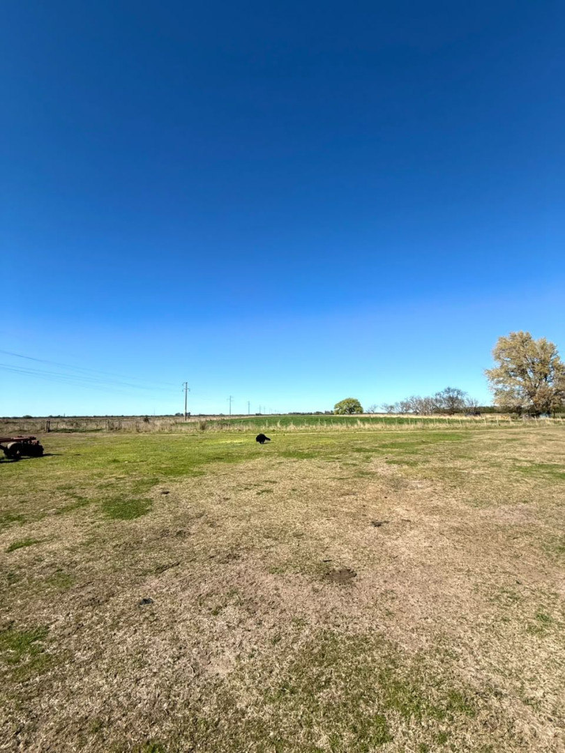 Campo  en Venta   Juan A. Pradere - Bahía Blanca Propiedades | SITIO OFICIAL l