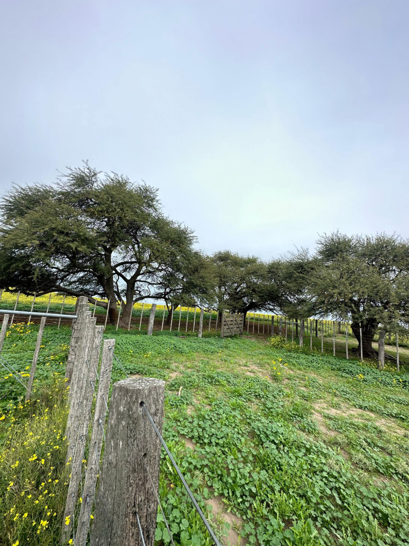 Campo  en Venta   Medanos - Bahía Blanca Propiedades | SITIO OFICIAL l