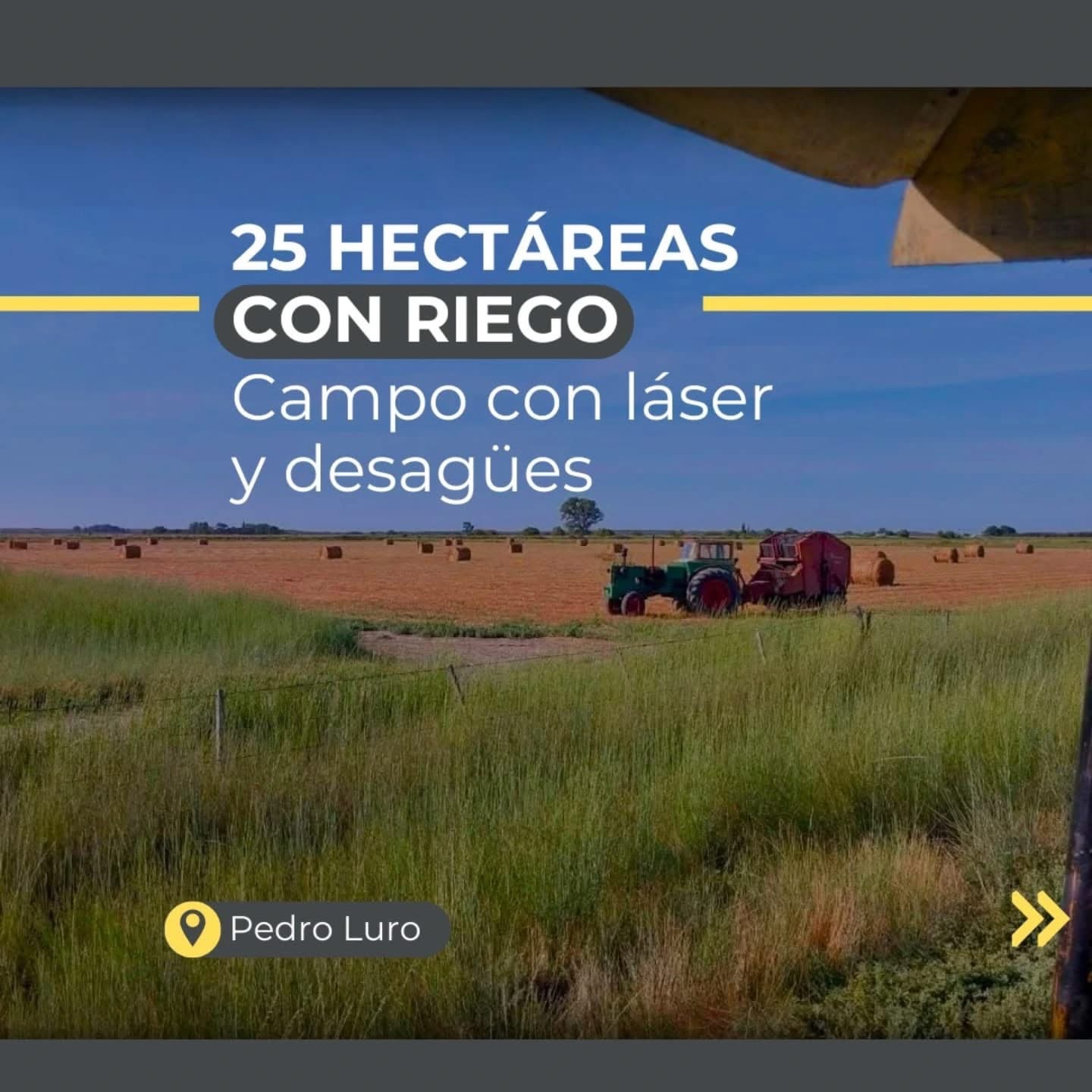 Campo  en Venta en  Colonia Bella Vista ,  Pedro Luro - Bahía Blanca Propiedades | SITIO OFICIAL l