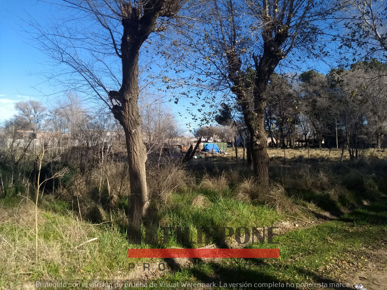 Terreno en Venta en Colombia Y Mendoza,  Darregueira - Bahía Blanca Propiedades | SITIO OFICIAL l