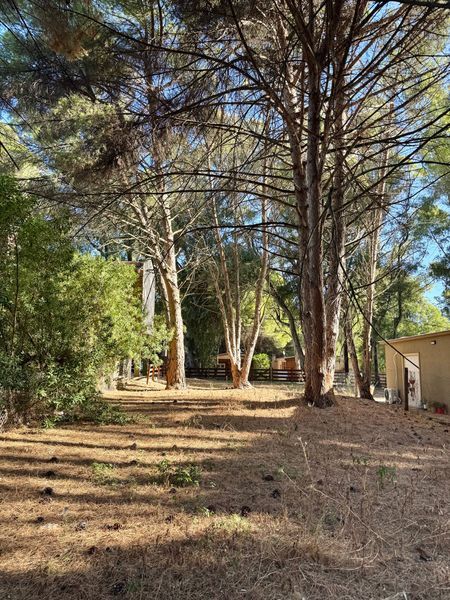 Terreno en Venta en Santa Clara Del Mar, El Sauce, Monte Hermoso - Bahía Blanca Propiedades | SITIO OFICIAL l